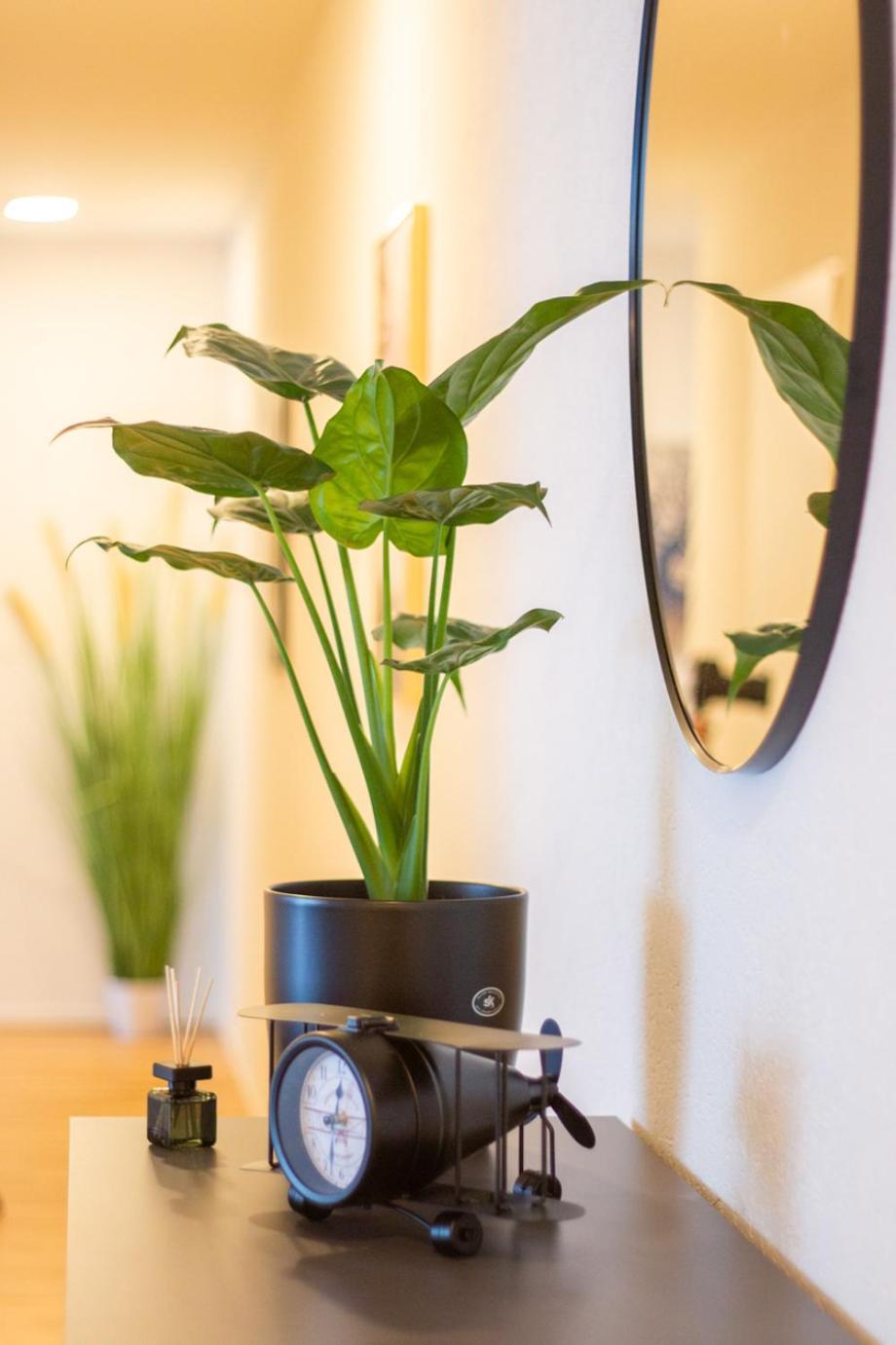 Special Einstein II Apartment Basel, Messe Kleinbasel 10-Star المظهر الخارجي الصورة