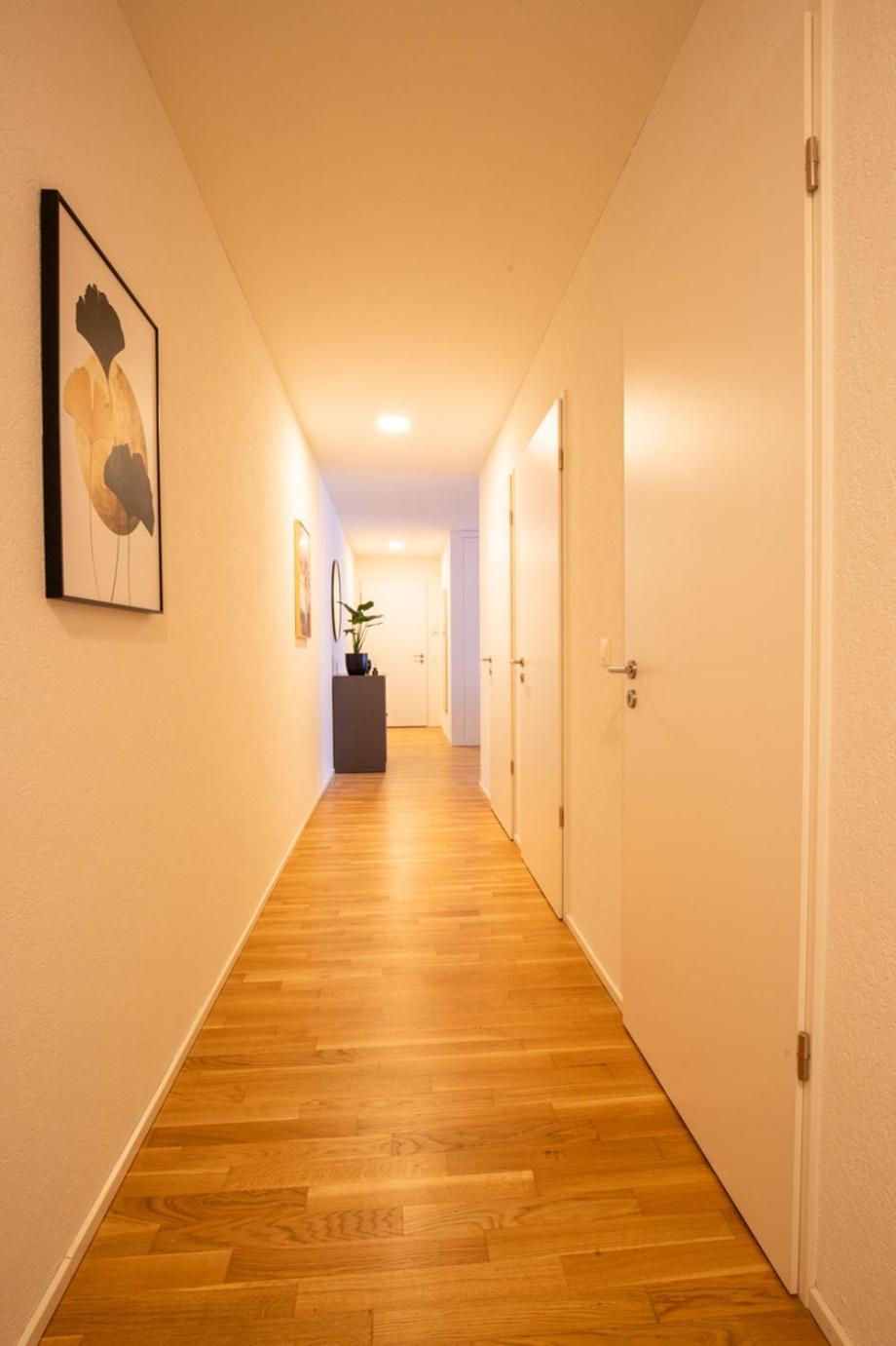 Special Einstein II Apartment Basel, Messe Kleinbasel 10-Star المظهر الخارجي الصورة