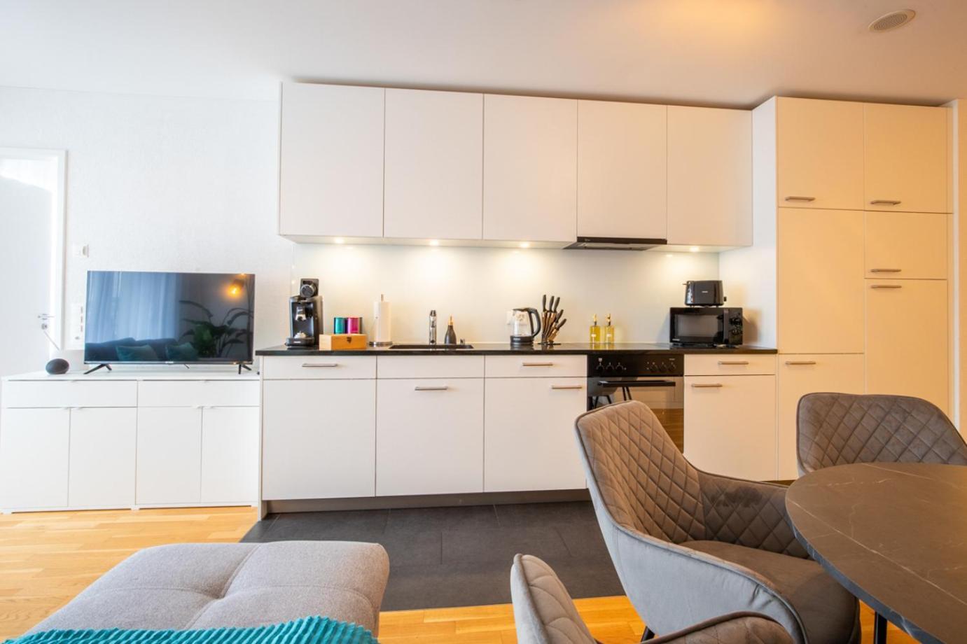 Special Einstein II Apartment Basel, Messe Kleinbasel 10-Star المظهر الخارجي الصورة